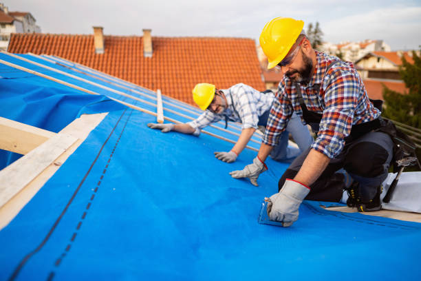 Best Roof Ventilation Installation  in Fairmount, GA